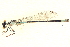  ( - BIOUG02811-F06)  @11 [ ] CreativeCommons - Attribution (2012) CBG Photography Group Centre for Biodiversity Genomics