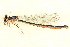  ( - BIOUG02811-F09)  @11 [ ] CreativeCommons - Attribution (2012) CBG Photography Group Centre for Biodiversity Genomics