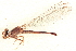  ( - BIOUG02811-G01)  @11 [ ] CreativeCommons - Attribution (2012) CBG Photography Group Centre for Biodiversity Genomics