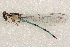  ( - BIOUG02811-G02)  @11 [ ] CreativeCommons - Attribution (2012) CBG Photography Group Centre for Biodiversity Genomics