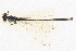  ( - BIOUG02811-H01)  @11 [ ] CreativeCommons - Attribution (2012) CBG Photography Group Centre for Biodiversity Genomics