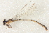  ( - BIOUG02811-H02)  @11 [ ] CreativeCommons - Attribution (2012) CBG Photography Group Centre for Biodiversity Genomics