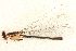  ( - BIOUG02811-H04)  @11 [ ] CreativeCommons - Attribution (2012) CBG Photography Group Centre for Biodiversity Genomics