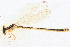  ( - BIOUG02811-H06)  @11 [ ] CreativeCommons - Attribution (2012) CBG Photography Group Centre for Biodiversity Genomics