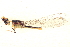  ( - BIOUG02811-H09)  @11 [ ] CreativeCommons - Attribution (2012) CBG Photography Group Centre for Biodiversity Genomics