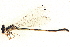  ( - BIOUG02812-A05)  @11 [ ] CreativeCommons - Attribution (2012) CBG Photography Group Centre for Biodiversity Genomics