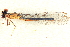  ( - BIOUG02812-A09)  @11 [ ] CreativeCommons - Attribution (2012) CBG Photography Group Centre for Biodiversity Genomics