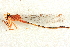  ( - BIOUG02812-A10)  @11 [ ] CreativeCommons - Attribution (2012) CBG Photography Group Centre for Biodiversity Genomics