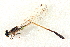  ( - BIOUG02812-A11)  @11 [ ] CreativeCommons - Attribution (2012) CBG Photography Group Centre for Biodiversity Genomics