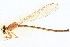  ( - BIOUG02812-A12)  @11 [ ] CreativeCommons - Attribution (2012) CBG Photography Group Centre for Biodiversity Genomics
