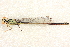  ( - BIOUG02812-B03)  @11 [ ] CreativeCommons - Attribution (2012) CBG Photography Group Centre for Biodiversity Genomics