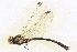  ( - BIOUG02812-F10)  @11 [ ] CreativeCommons - Attribution (2012) CBG Photography Group Centre for Biodiversity Genomics