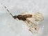  ( - BIOUG02798-B12)  @13 [ ] CreativeCommons - Attribution (2012) CBG Photography Group Centre for Biodiversity Genomics