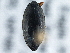  ( - BIOUG09881-A10)  @14 [ ] CreativeCommons - Attribution (2014) CBG Photography Group Centre for Biodiversity Genomics