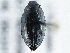  ( - BIOUG09881-B01)  @11 [ ] CreativeCommons - Attribution (2014) CBG Photography Group Centre for Biodiversity Genomics