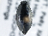  ( - BIOUG09881-B04)  @13 [ ] CreativeCommons - Attribution (2014) CBG Photography Group Centre for Biodiversity Genomics
