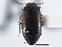  ( - BIOUG09881-F12)  @11 [ ] CreativeCommons - Attribution (2014) CBG Photography Group Centre for Biodiversity Genomics