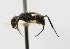  ( - MACN-Bar-Ins-ct 00388)  @14 [ ] Copyright (2011) MACN Museo Argentino de Ciencias Naturales 
