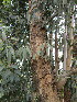  ( - KMS-0121)  @11 [ ] CreativeCommons - Attribution Non-Commercial Share-Alike (2012) Mamadi Theresa Sethusa University of Johannesburg