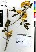  ( - MTJ-0083)  @11 [ ] CreativeCommons - Attribution Non-Commercial Share-Alike (2012) Mamadi Theresa Sethusa University of Johannesburg