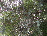  ( - PPRI-0035)  @11 [ ] CreativeCommons - Attribution Non-Commercial Share-Alike (2012) Mamadi Theresa Sethusa University of Johannesburg
