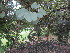  ( - PPRI-0035)  @11 [ ] CreativeCommons - Attribution Non-Commercial Share-Alike (2012) Mamadi Theresa Sethusa University of Johannesburg