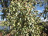  ( - PPRI-0105)  @11 [ ] CreativeCommons - Attribution Non-Commercial Share-Alike (2012) Mamadi Theresa Sethusa University of Johannesburg