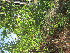  ( - PPRI-0118)  @11 [ ] CreativeCommons - Attribution Non-Commercial Share-Alike (2012) Mamadi Theresa Sethusa University of Johannesburg