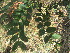  ( - PPRI-0118)  @11 [ ] CreativeCommons - Attribution Non-Commercial Share-Alike (2012) Mamadi Theresa Sethusa University of Johannesburg