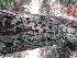  ( - PPRI-0138)  @11 [ ] CreativeCommons - Attribution Non-Commercial Share-Alike (2012) Mamadi Theresa Sethusa University of Johannesburg