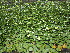  ( - PPRI-0194)  @11 [ ] CreativeCommons - Attribution Non-Commercial Share-Alike (2012) Mamadi Theresa Sethusa University of Johannesburg