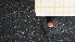  ( - MACQ-192547.2)  @11 [ ] CreativeCommons - Attribution Share-Alike (2025) Unspecified Universite de Bourgogne, Biogeosciences