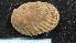  ( - NIWA_141665.1)  @11 [ ] CreativeCommons - Attribution Share-Alike (2025) Unspecified Universite de Bourgogne, Biogeosciences