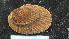  ( - NIWA_141665.2)  @11 [ ] CreativeCommons - Attribution Share-Alike (2025) Unspecified Universite de Bourgogne, Biogeosciences