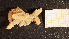  ( - NZ24_DUN_MID_Q4.1_AST_B)  @11 [ ] CreativeCommons - Attribution Share-Alike (2025) Unspecified Universite de Bourgogne, Biogeosciences