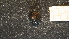  (Diloma - NZ24_STEW_MID_Q7.5_GAS_AJ)  @11 [ ] CreativeCommons - Attribution Share-Alike (2025) Unspecified Universite de Bourgogne, Biogeosciences