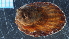  ( - UOTA-HC-AI-02)  @11 [ ] CreativeCommons - Attribution Share-Alike (2025) Unspecified Universite de Bourgogne, Biogeosciences