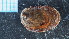  ( - UOTA-HC-AI-03)  @11 [ ] CreativeCommons - Attribution Share-Alike (2025) Unspecified Universite de Bourgogne, Biogeosciences