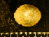  ( - CNP-INV 722)  @13 [ ] Copyright (2013) Unspecified CENPAT