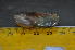  ( - CNP-INV-928)  @11 [ ] Copyright (2013) Unspecified CENPAT