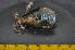  ( - CNP-INV-934)  @11 [ ] Copyright (2013) Unspecified CENPAT