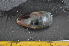 ( - CNP-INV-948)  @11 [ ] Copyright (2013) Unspecified CENPAT