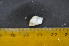  ( - CNP-INV-998)  @11 [ ] Copyright (2013) Unspecified CENPAT