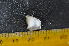  ( - CNP-INV-1501)  @11 [ ] Copyright (2013) Unspecified CENPAT