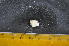  ( - CNP-INV-1510)  @11 [ ] Copyright (2013) Unspecified CENPAT