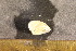  ( - CNP-INV-1549)  @11 [ ] Copyright (2013) Unspecified CENPAT