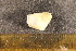  ( - CNP-INV-1551)  @11 [ ] Copyright (2013) Unspecified CENPAT