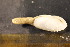  ( - CNP-INV-1517)  @11 [ ] Copyright (2013) Unspecified CENPAT