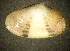  ( - BGE_00648_A09)  @11 [ ] CreativeCommons Attribution Non-Commercial (2024) Stefania Klayn Bulgarian Academy of Sciences, Institute of Biodiversity and Ecosystem Research