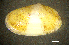  ( - BGE_00648_A10)  @11 [ ] CreativeCommons Attribution Non-Commercial (2024) Stefania Klayn Bulgarian Academy of Sciences, Institute of Biodiversity and Ecosystem Research